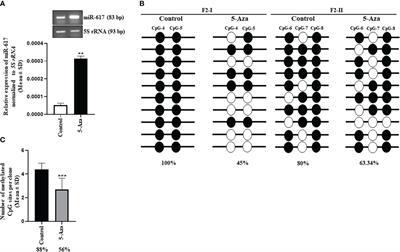 miR-617 interacts with the promoter of DDX27 and positively regulates its expression: implications for cancer therapeutics